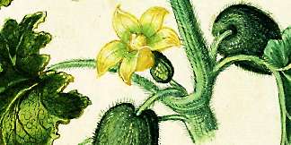 part of the illustrations