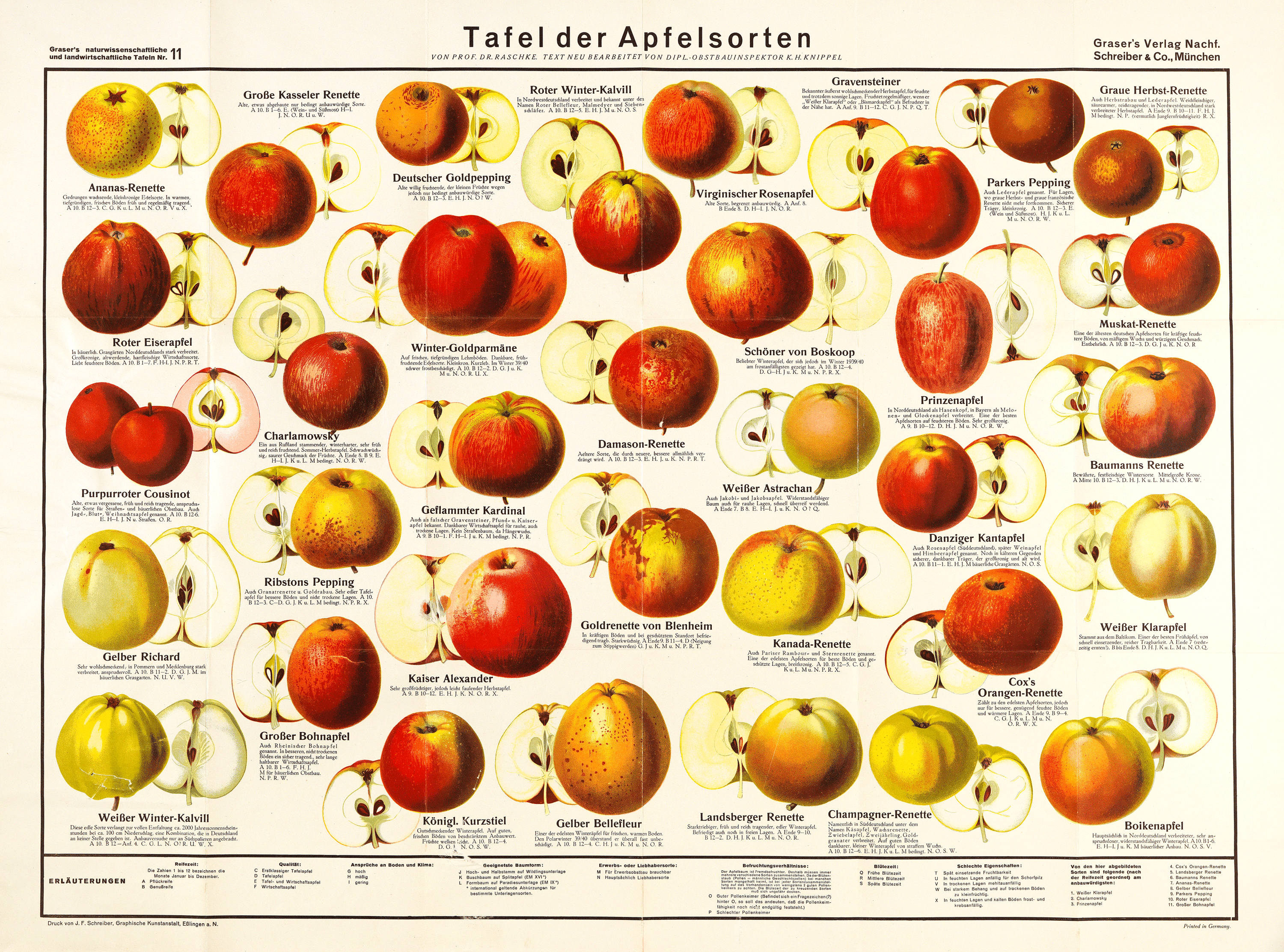 Tafel der Apfelsorten